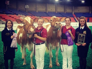 Emily and team with prize cow