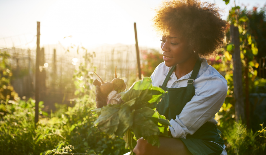 African American woman gardening