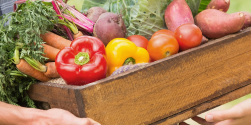 Dietetics and Human Nutrition